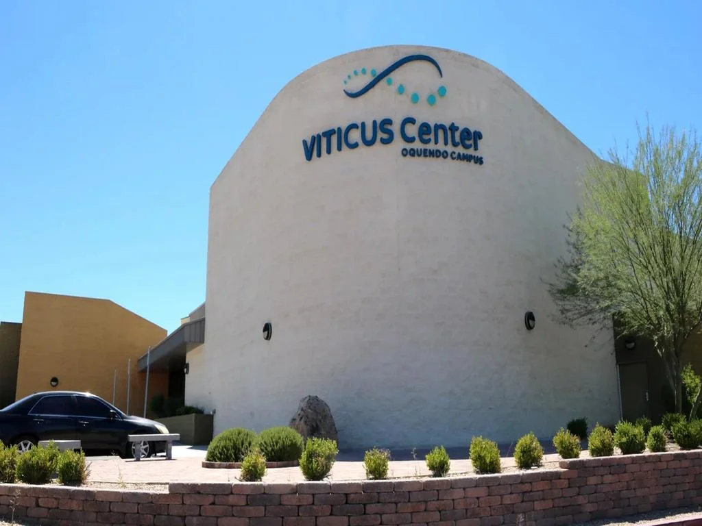 Low Volt Project at Viticus Center Las Vegas Nevada